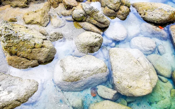 Rocky Kalim Sahili tropikal sahil kıyısı turkuvaz mavisi berrak su dalgaları kum kayaları ve kayalar Patong Sahili Kathu Bölgesi Phuket Adası Güney Tayland Bölgesi.