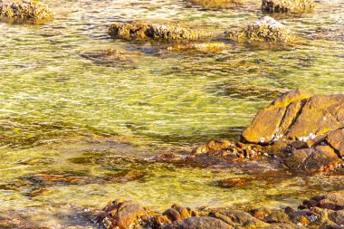 Rocky Kalim Sahili tropikal sahil kıyısı turkuvaz mavisi berrak su dalgaları kum kayaları ve kayalar Patong Sahili Kathu Bölgesi Phuket Adası Güney Tayland Bölgesi.