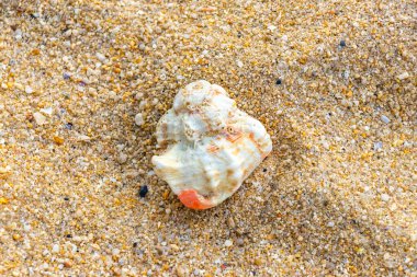 Güneydoğu Asya 'da Patong Sahili' nde Kathu Bölgesi Phuket Adası 'ndaki Turkuaz yeşil ve mavi sularda mercan mercan çakıl taşları ve kaya kayaları..