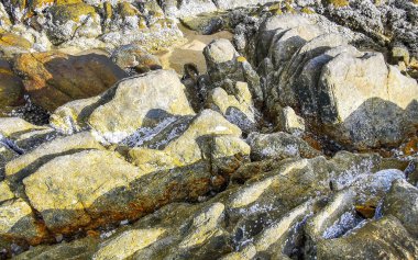 Rocky Kalim Sahili tropikal sahil kıyısı. Kum kayaları kaya taşları ve midye kabuklu kayalar Patong Sahili 'nde Kathu Phuket Adası Güney Tayland.