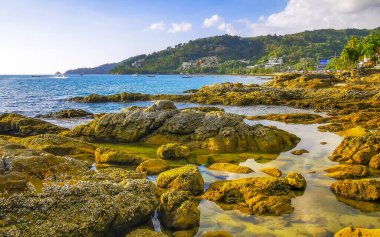 İnanılmaz kayalık Kalim Sahili tropikal manzara manzarası mavi gökyüzü turkuvaz su dalgaları palmiye ağaçları ve kayalar Patong Sahili Kathu Phuket Adası Güney Tayland.