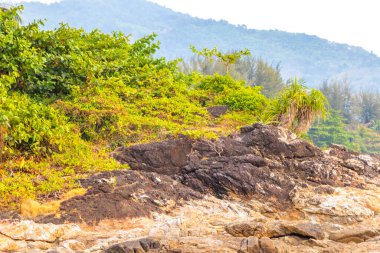 Rocky Kalim Sahili tropikal deniz manzarası doğal palmiye ağaçları bitki ağaçları orman kumları kaya parçaları Patong Sahili Kathu Phuket Adası Güney Tayland.