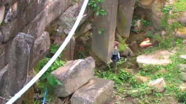 Asya açılış gagalı leyleği Anastomus oscitans kuşu Güneydoğu Asya 'da Patong Sahili' ndeki Kathu Phuket Adası Güney Tayland 'da tropikal nehir gölü kanal şelalesinde balık tutuyor ve yürüyor..