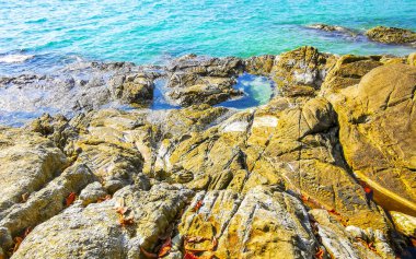 Kalim Sahili kayalık tropikal sahil kıyısı turkuvaz mavisi berrak su dalgaları kum kayaları ve kayalar Patong Sahili Kathu Bölgesi Phuket Adası Güney Tayland Bölgesi.