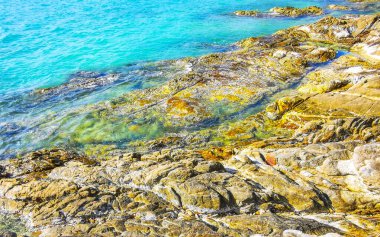 Kalim Sahili kayalık tropikal sahil kıyısı turkuvaz mavisi berrak su dalgaları kum kayaları ve kayalar Patong Sahili Kathu Bölgesi Phuket Adası Güney Tayland Bölgesi.
