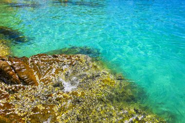 Kalim Sahili tropikal kayalık sahil kıyısı turkuvaz mavisi berrak su dalgaları kum kayaları kaya ve midye kabuklu kayalar Patong Sahili Kathu Phuket Adası Güney Tayland.