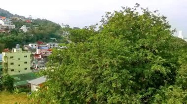 Kathu Bölgesi Phuket Adası, Tayland 21. Ocak 2026 Tamarind ağacı ve tropikal manzara dağları manzarası Patong Sahili 'nde mavi gökyüzü olan şehir ve plaj Kathu Phuket Adası Tayland.