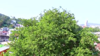 Kathu Bölgesi Phuket Eyaleti Tayland 22. Ocak 2026 Panoramik manzara ve tropikal manzara dağları şehir silueti yağmur ormanları deniz manzarası Patong Tayland 'da mavi gökyüzü.