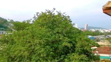 Kathu Bölgesi Phuket Adası, Tayland 21. Ocak 2026 Tamarind ağacı ve tropikal manzara dağları manzarası Patong Sahili 'nde mavi gökyüzü olan şehir ve plaj Kathu Phuket Adası Tayland.