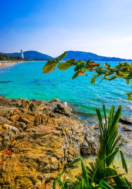 Patong Kamala Sahili tropikal manzara manzarası mavi gökyüzü turkuvaz deniz suyu dalgaları palmiye ağaçları ve bulutlar Patong Sahili 'nde Kathu Phuket Adası Güney Tayland.