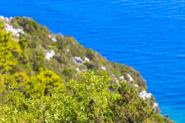 Sahil sahili turkuvaz mavi su dalgaları adaları dağ tepeleri kayalıklar ve Dubrovnik Neretva İlçesi Dalmaçya Bölgesi Hırvatistan 'da Akdeniz doğa bitkileri panoraması.