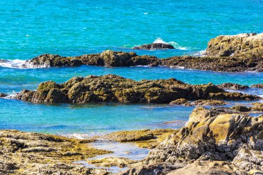 Kalim Sahili tropikal kayalık sahil kıyısı turkuvaz mavisi berrak su dalgaları kum kayaları kaya ve midye kabuklu kayalar Patong Sahili Kathu Phuket Adası Güney Tayland.