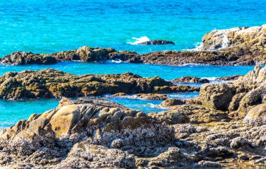 Kalim Sahili tropikal kayalık sahil kıyısı turkuvaz mavisi berrak su dalgaları kum kayaları kaya ve midye kabuklu kayalar Patong Sahili Kathu Phuket Adası Güney Tayland.