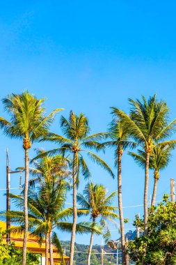 Modern binalar ve mimari otel otelleri, Patong Sahili 'ndeki Kathu Phuket Adası Güney Tayland' daki tropikal cennette tatil beldeleri ve daireleri palmiye ağaçları yağmur ormanlarıyla kaplı..