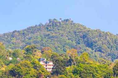 Tropikal yağmur ormanları, dağlık tepelerdeki palmiye ağaçlarının tepesinde bulut ve mavi gökyüzü manzaralı Patong Sahili Kathu Bölgesi Phuket Adası Güney Tayland.