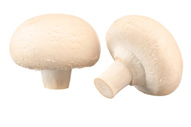 Beyaz şampiyonlar, beyaz izole edilmiş arka planda çok yakınlar..