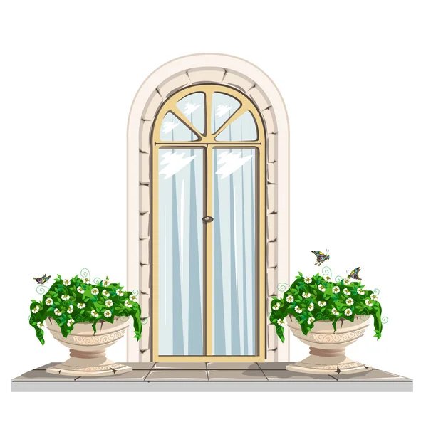 Tür und Blumentöpfe — Stockvektor