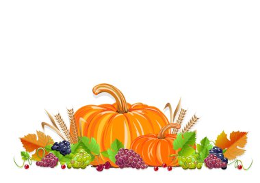 Balkabağı, üzüm ve sonbahar hasadıyla mutlu Şükran Günü gerçekçi bir hayat dilerim. Geleneksel festival. Poster, kart, davet ve menüler için vektör şablonu.