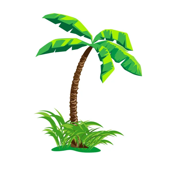 Vector Illustration Palm Tree Cartoon Style White Background — Wektor stockowy