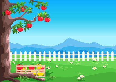 Bahçesinde olgun elmalar olan elma ağacı mavi gökyüzüne karşı. Elma topluyorum. Hasat kutlaması. Şükran Günü. Vektör illüstrasyonu.