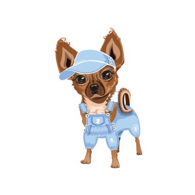 A cute little dog in denim clothes and a cap. Clothing and fashion for dogs. Vector illustration in cartoon style.