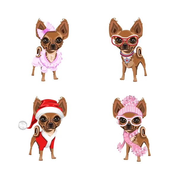Cute Dogs Different Clothes Set Vector Illustrations Small Dog New — Wektor stockowy