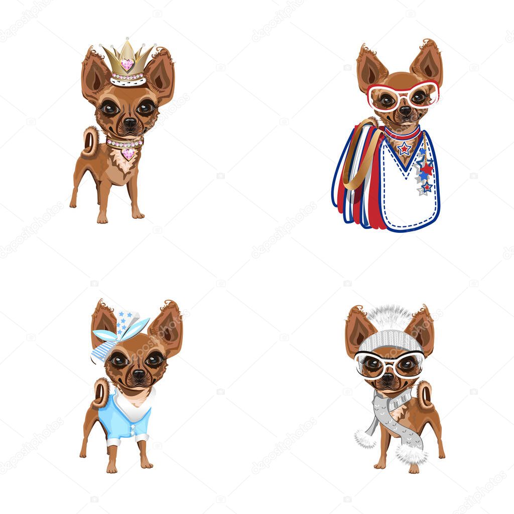 Cute little dogs in different clothes. Set of vector illustrations of trendy dogs in cartoon style. Pets. Clothes for dogs.