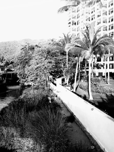 Jardin Tropical Avec Bâtiments Rétro — Photo