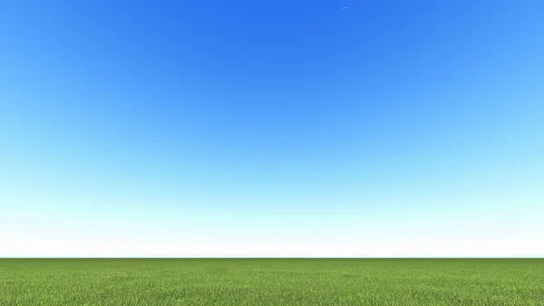 Beau paysage, herbe ciel bleu propre — Photo