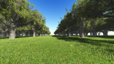 Avenue parkta ağaçların