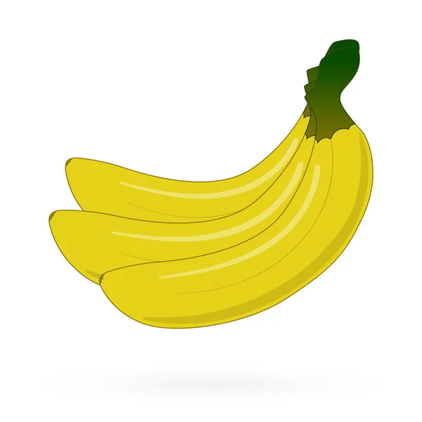 Plátano fruta de cerca aislado en blanco — Vector de stock