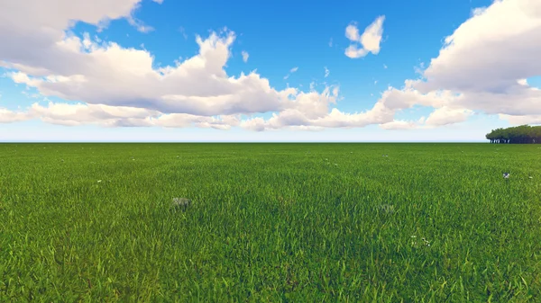Zielony krajobraz pole — Zdjęcie stockowe