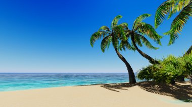 Tropikal mavi deniz avuç içi