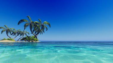 Tropikal mavi deniz avuç içi