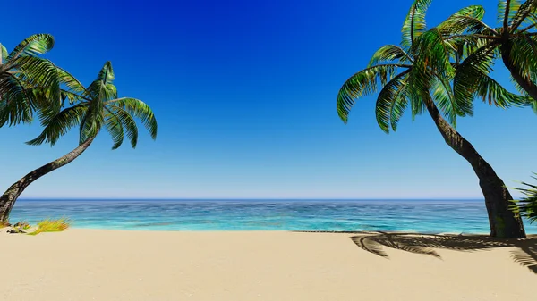 Пальмы тропического синего моря — стоковое фото