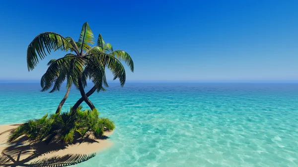 Tropische palmen voor blauwe zee — Stockfoto