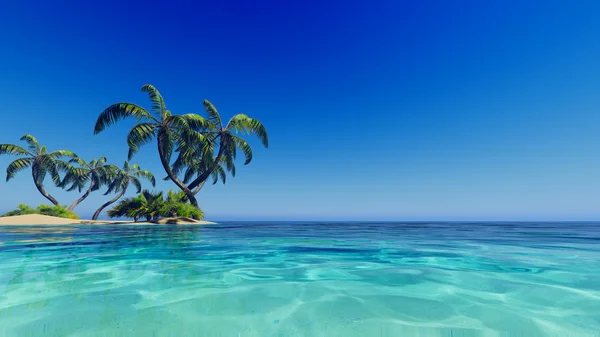 Tropical blue sea palms — Stock Photo, Image
