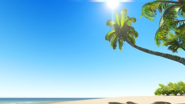 Bakir tropik kum plaj