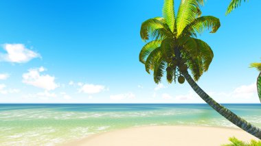 Bakir tropik kum plaj