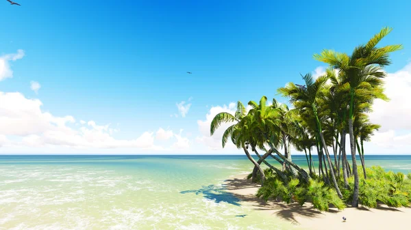 Playa de arena tropical intacta — Foto de Stock