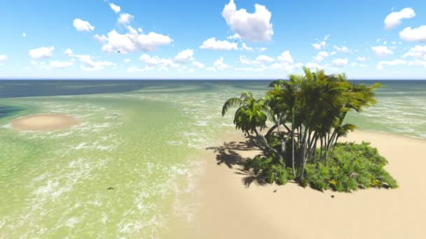 Tropisk strand på solig dag — Stockvideo