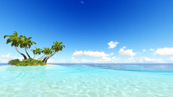 Mercan Adası Deniz 3d render