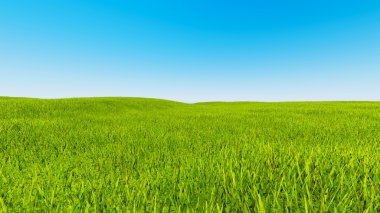 manzara yeşil çim mavi gökyüzü 3d render