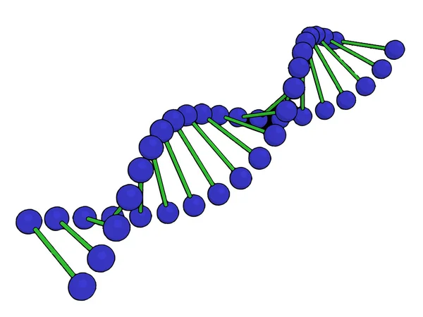 Molécula de DNA sobre fundo branco Imagem vetorial — Vetor de Stock