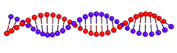 Molécula de ADN sobre fondo blanco Imagen vectorial — Archivo Imágenes Vectoriales