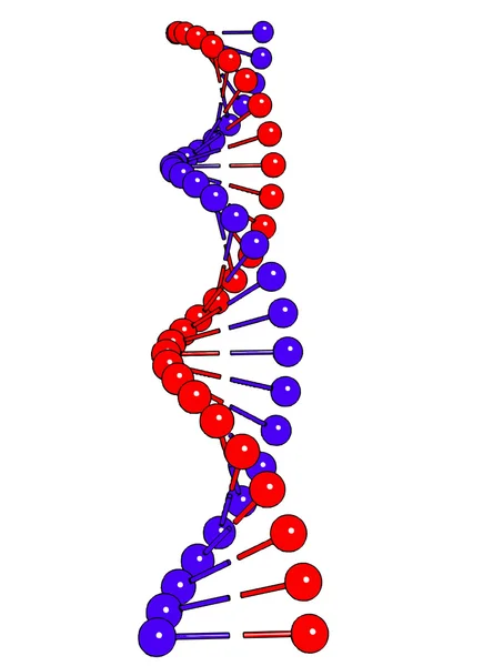 Molécula de ADN sobre fondo blanco Imagen vectorial — Vector de stock