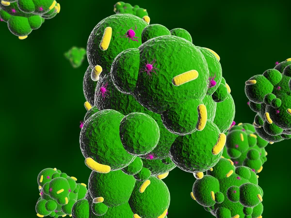 Groene bacteriën bollen 3d illustratie — Stockfoto