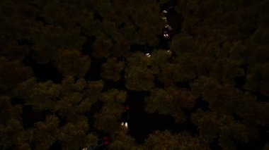 Gece trafiği arabaları orman Doğal kırsal manzara Hızlı hareket