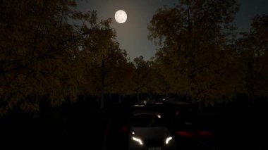 Ormanda gece trafik ayı Parlak yıldız