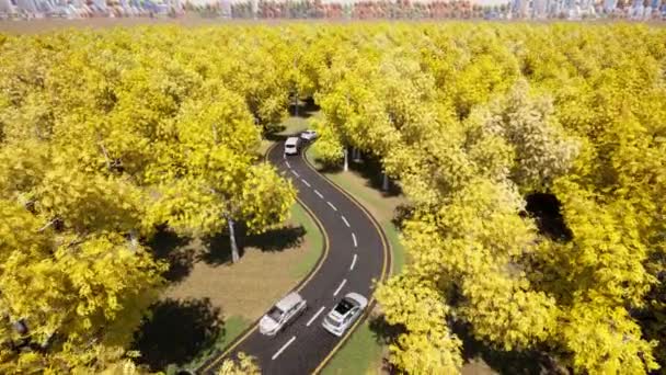 Жовті повітряні автомобілі, що керують лісовою дорогою Осінній лісовий пейзаж осінь — стокове відео